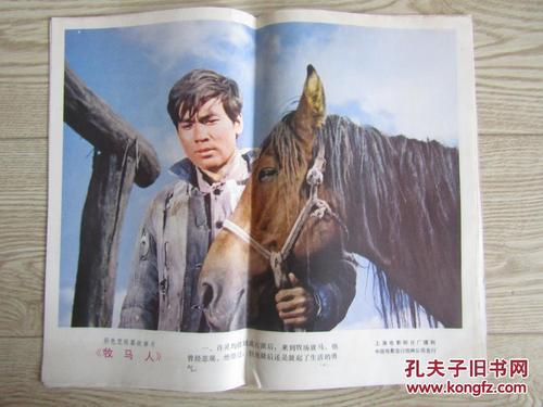 代办仿真企业名称变更证明